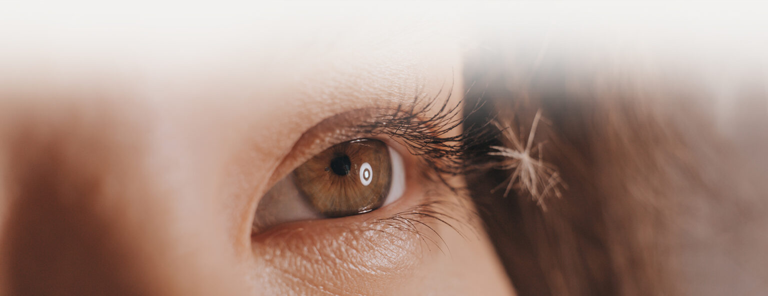 McCauleyCelinMissingAssetsHeroesDryEyeTherapy McCauley Celin