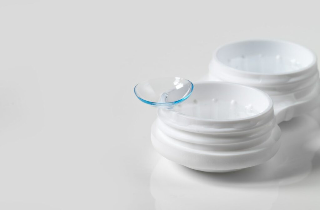 A pair of contact lenses sitting in a contact lens case.